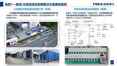 黄浪 新型电力系统配电网电力电子化解决方案探索与实践